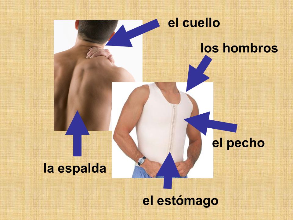 Los dolores en la parte inferior de los riñones el cóccix